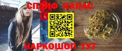 спиды Заводоуковск