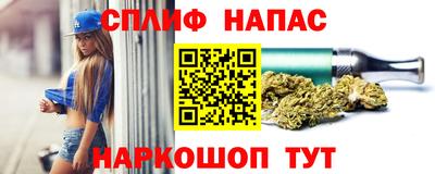 спиды Заводоуковск